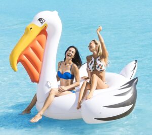 White Pelican