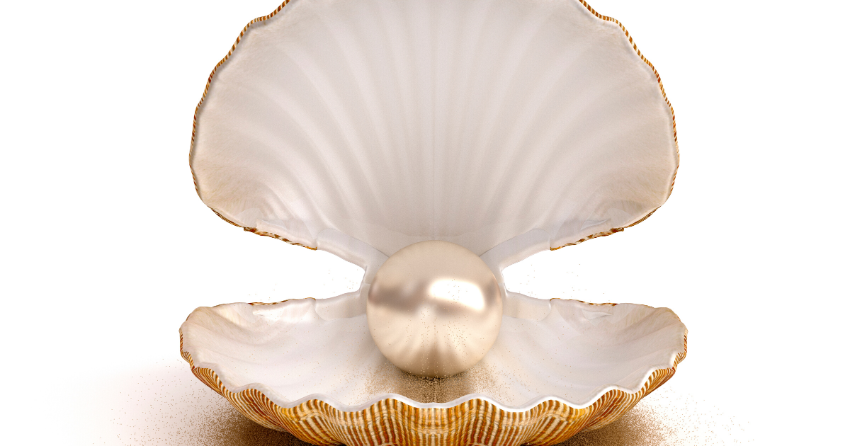 Freshwater pearl inside an open shell - a symbol of natural beauty and elegance for 2023 jewelry trends.