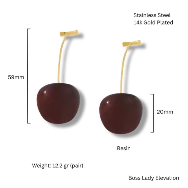Dark cherry earrings size and material chart with measurements and weight
